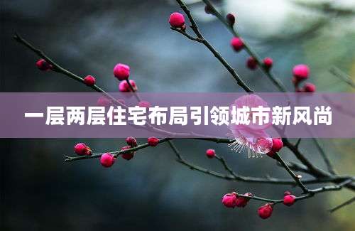 一层两层住宅布局引领城市新风尚