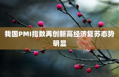 我国PMI指数再创新高经济复苏态势明显