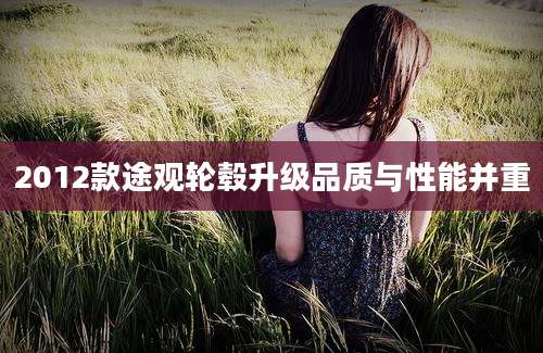 2012款途观轮毂升级品质与性能并重
