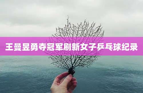 王曼昱勇夺冠军刷新女子乒乓球纪录