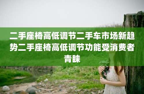 二手座椅高低调节二手车市场新趋势二手座椅高低调节功能受消费者青睐