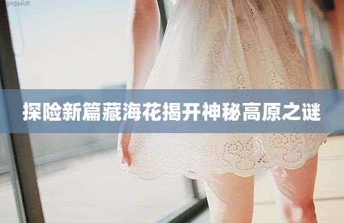 探险新篇藏海花揭开神秘高原之谜