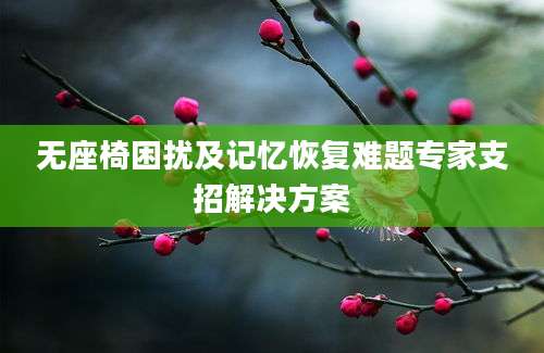 无座椅困扰及记忆恢复难题专家支招解决方案