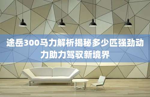 途岳300马力解析揭秘多少匹强劲动力助力驾驭新境界