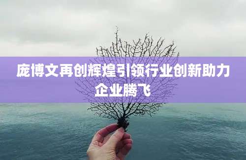 庞博文再创辉煌引领行业创新助力企业腾飞