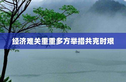 经济难关重重多方举措共克时艰
