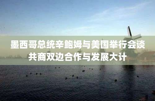 墨西哥总统辛鲍姆与美国举行会谈共商双边合作与发展大计