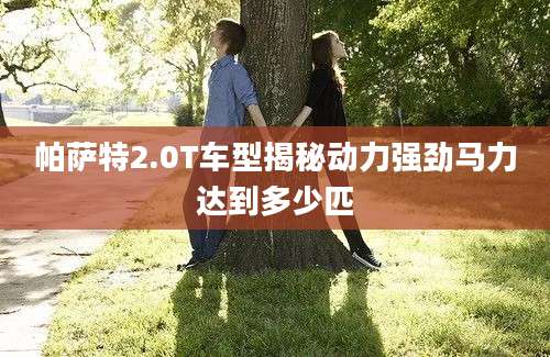 帕萨特2.0T车型揭秘动力强劲马力达到多少匹