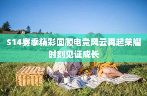 S14赛季精彩回顾电竞风云再起荣耀时刻见证成长