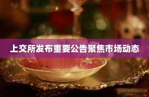 上交所发布重要公告聚焦市场动态