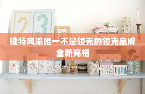 独特风采唯一不是领克的领克品牌全新亮相