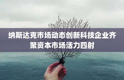 纳斯达克市场动态创新科技企业齐聚资本市场活力四射