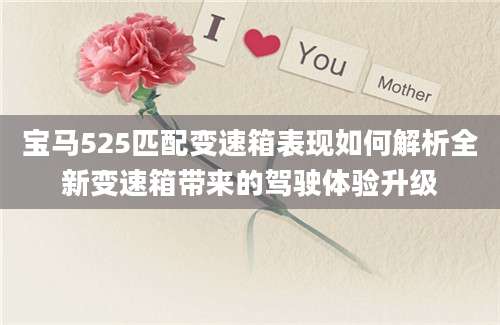 宝马525匹配变速箱表现如何解析全新变速箱带来的驾驶体验升级