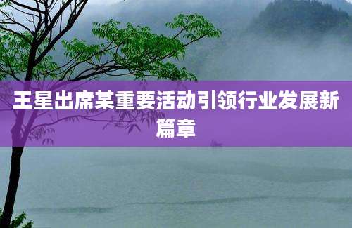 王星出席某重要活动引领行业发展新篇章