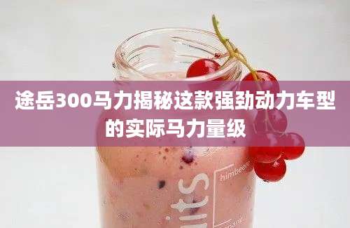 途岳300马力揭秘这款强劲动力车型的实际马力量级