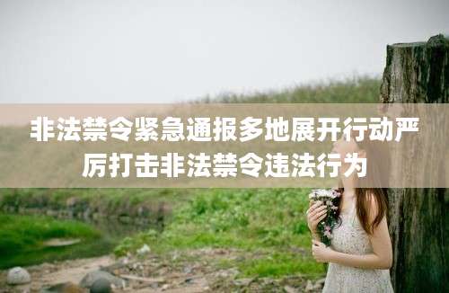 非法禁令紧急通报多地展开行动严厉打击非法禁令违法行为