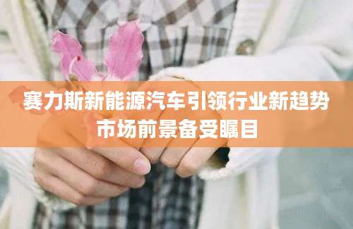 赛力斯新能源汽车引领行业新趋势市场前景备受瞩目