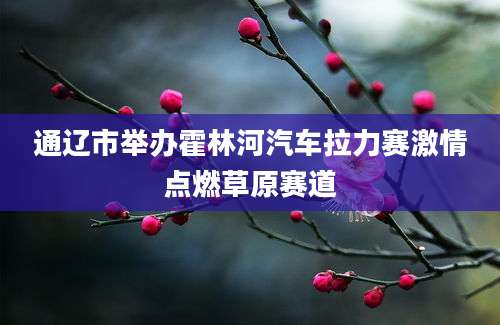 通辽市举办霍林河汽车拉力赛激情点燃草原赛道