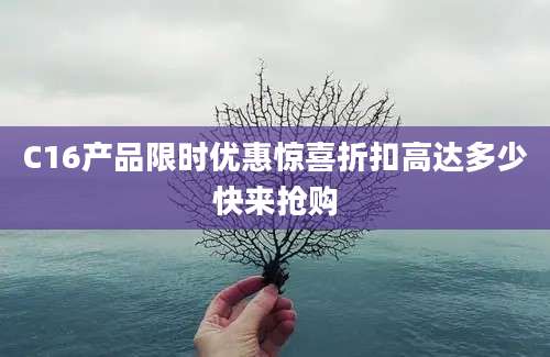 C16产品限时优惠惊喜折扣高达多少快来抢购