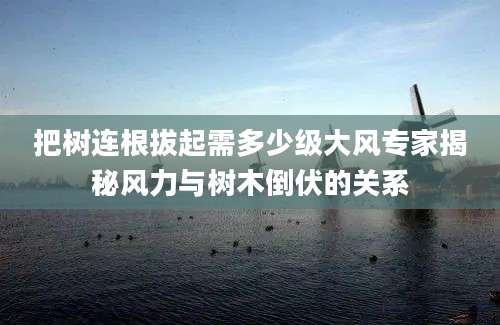 把树连根拔起需多少级大风专家揭秘风力与树木倒伏的关系