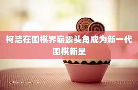 柯洁在围棋界崭露头角成为新一代围棋新星
