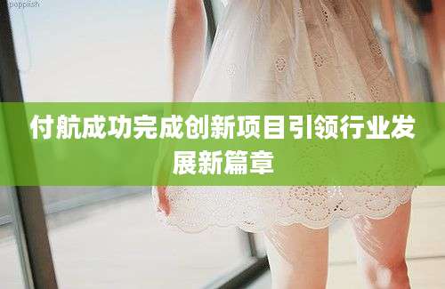 付航成功完成创新项目引领行业发展新篇章