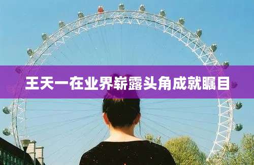 王天一在业界崭露头角成就瞩目