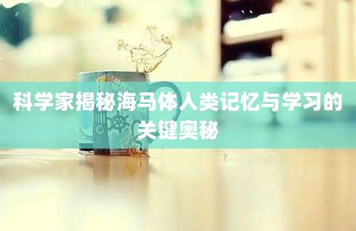 科学家揭秘海马体人类记忆与学习的关键奥秘
