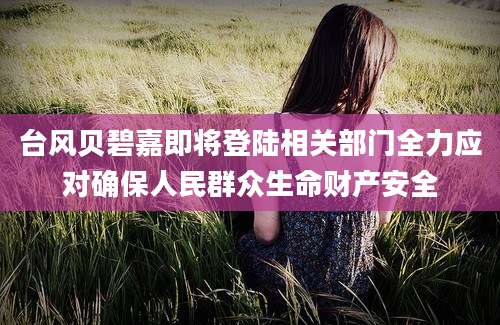 台风贝碧嘉即将登陆相关部门全力应对确保人民群众生命财产安全