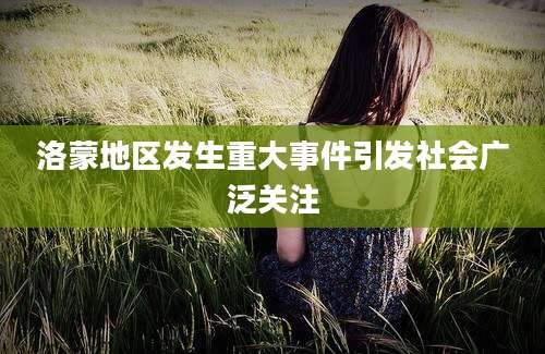 洛蒙地区发生重大事件引发社会广泛关注