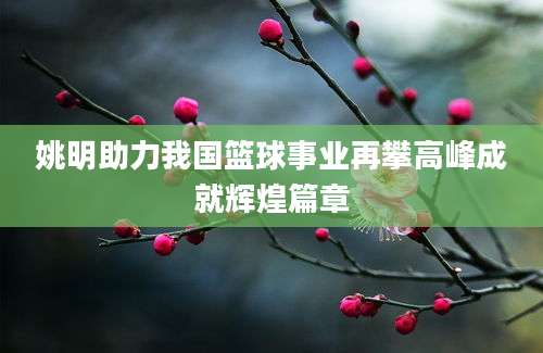 姚明助力我国篮球事业再攀高峰成就辉煌篇章