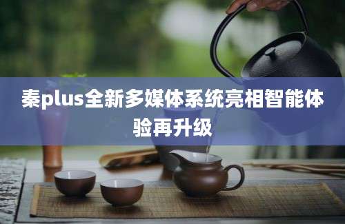 秦plus全新多媒体系统亮相智能体验再升级
