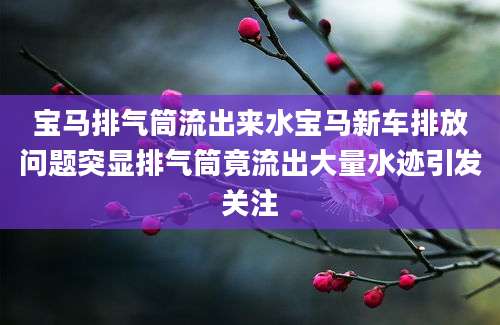 宝马排气筒流出来水宝马新车排放问题突显排气筒竟流出大量水迹引发关注