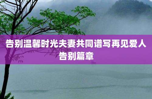 告别温馨时光夫妻共同谱写再见爱人告别篇章