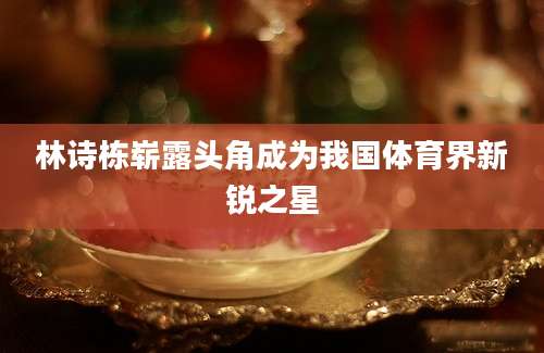 林诗栋崭露头角成为我国体育界新锐之星