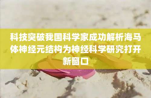 科技突破我国科学家成功解析海马体神经元结构为神经科学研究打开新窗口