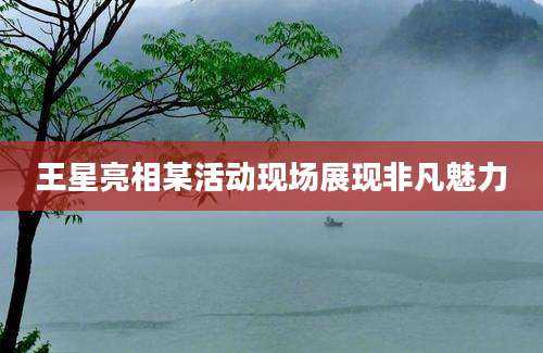 王星亮相某活动现场展现非凡魅力