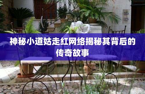 神秘小道姑走红网络揭秘其背后的传奇故事