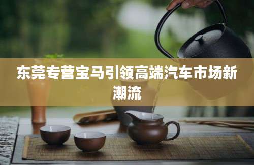 东莞专营宝马引领高端汽车市场新潮流