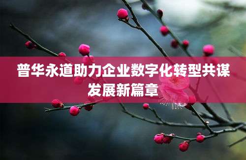 普华永道助力企业数字化转型共谋发展新篇章