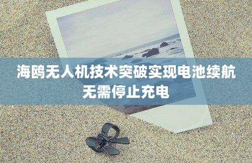 海鸥无人机技术突破实现电池续航无需停止充电