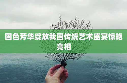 国色芳华绽放我国传统艺术盛宴惊艳亮相