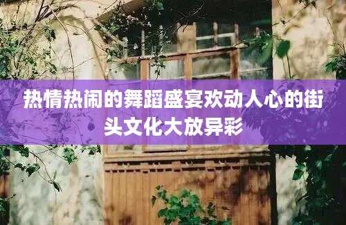 热情热闹的舞蹈盛宴欢动人心的街头文化大放异彩