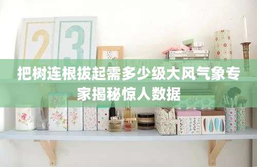 把树连根拔起需多少级大风气象专家揭秘惊人数据