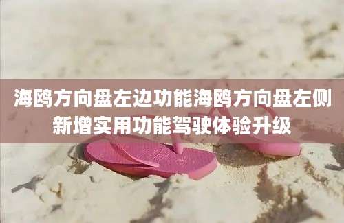 海鸥方向盘左边功能海鸥方向盘左侧新增实用功能驾驶体验升级