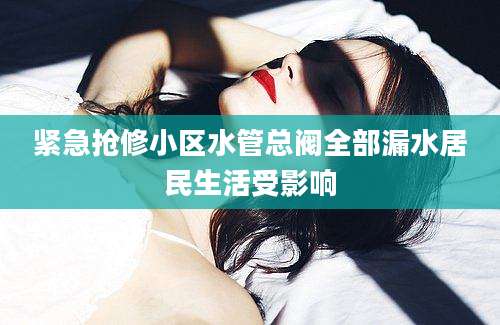 紧急抢修小区水管总阀全部漏水居民生活受影响