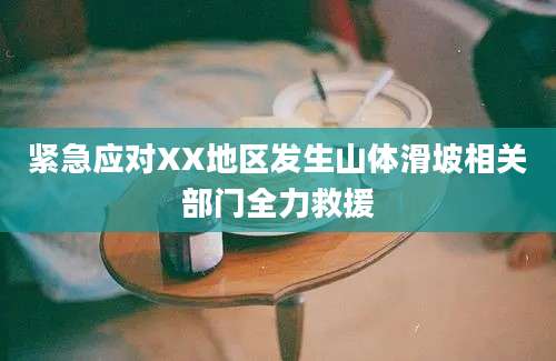紧急应对XX地区发生山体滑坡相关部门全力救援