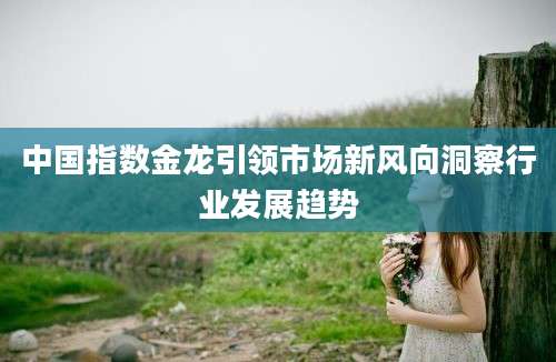 中国指数金龙引领市场新风向洞察行业发展趋势