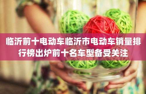 临沂前十电动车临沂市电动车销量排行榜出炉前十名车型备受关注