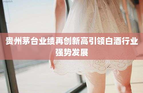 贵州茅台业绩再创新高引领白酒行业强势发展